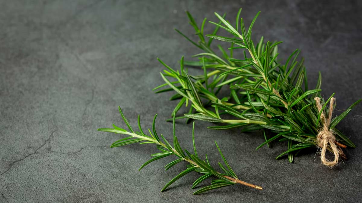 Health Benefits of Thyme 6 Ways to Use This Aromatic Herb in Your Diet